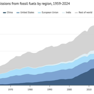 Breaking Records Nobody Wanted: Earth’s Deadly Carbon Milestone in 2024