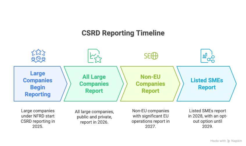CSRD Reporting timeline